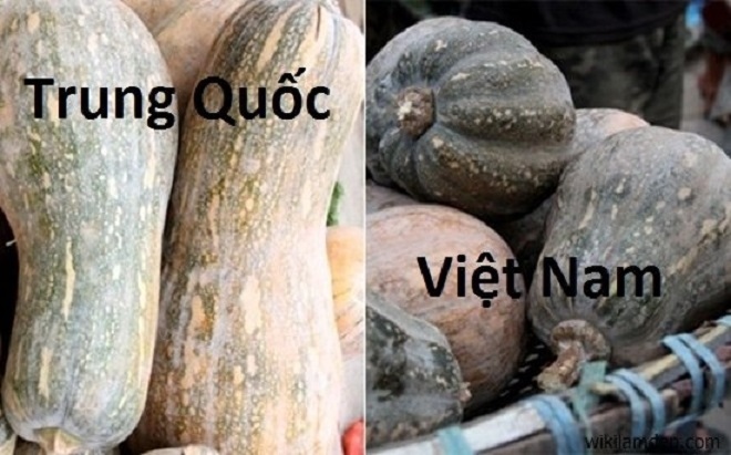 bi quyet phan biet rau cu qua trung quoc hinh anh 6