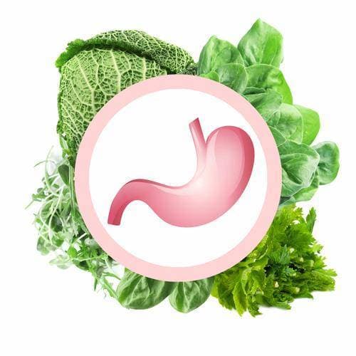 thực phẩm tṓt cho dạ dày