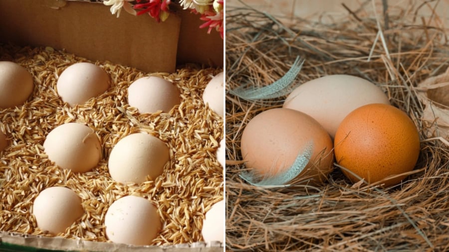 Người xưa thường sử dụng bỏ trấu để bảo quản trứng.