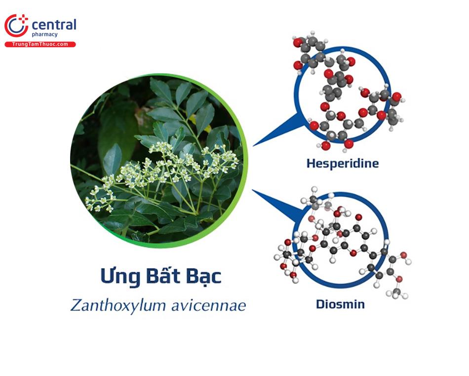 Cấu trúc hai hợp chất quan trọng trong Ưng bất bạc
