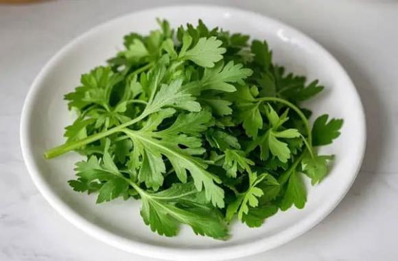 rau cần tây, lá cần tây, rau xanh