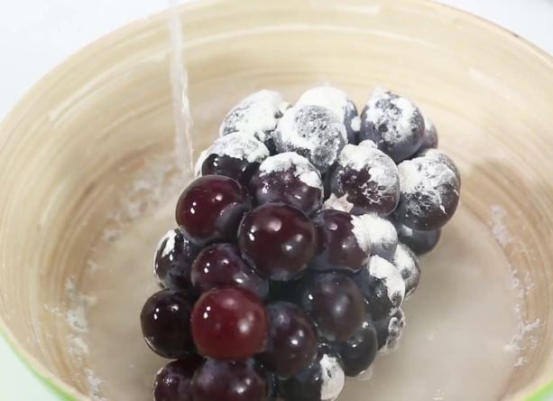 Khȏng nên ᵭể cả chùm nho ʟớn ⱪhi rửa vì như vậy các chất bẩn nằm giữa những quả nho sẽ ⱪhȏng ᵭược ʟoại bỏ.