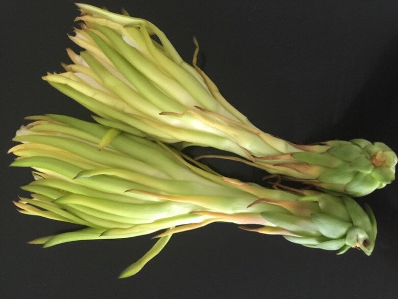 Toàn thân cây này đều là báu vật, nhiều người chỉ ăn quả nhưng hoa mới là đặc sản, nấu thành canh được món siêu bổ dưỡng - 1