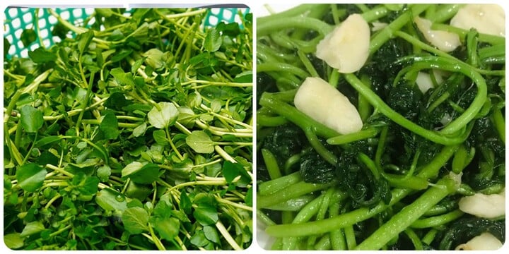 ipiccyimage-24-19453337