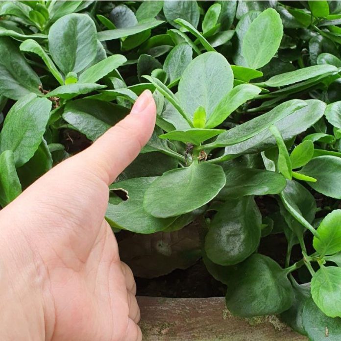 23bcd6103cacdb7a273f1ddade78d02e