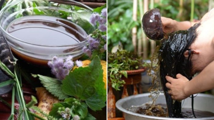 4-loai-nuoc-goi-dau-chong-rung-toc-giup-den-bong-toc-con-moc-len-khong-ngung-215611