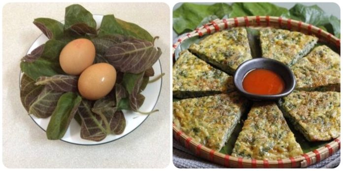 4-mon-an-tu-la-mo-long-tri-dau-da-day-hieu-qua-224556