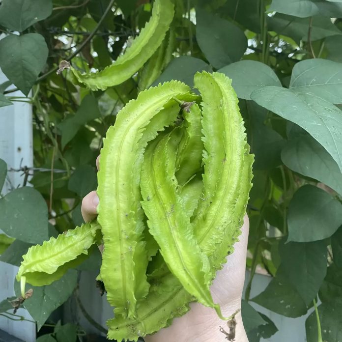 556973134_1425738282894463_8997284958117311057_n (1)