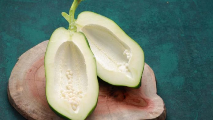 564529845_1218463943635939_534530296297228220_n