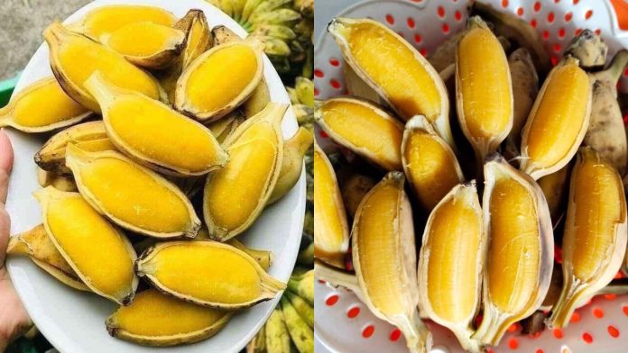 570050790_1226663356149331_8203080808484030838_n