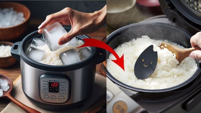 bo-da-vien-vao-nau-com-hat-deo-ngon-de-lau-chang-lo-hong-133444