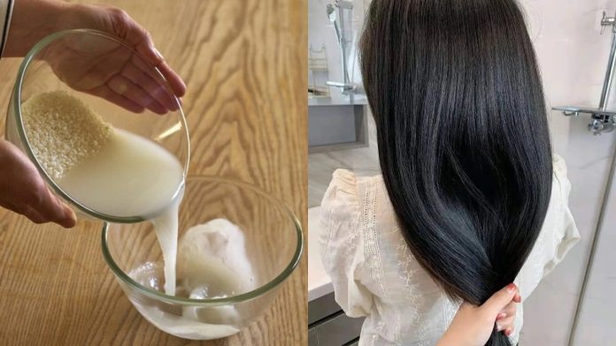 cach-giam-rung-toc-giup-toc-den-muot-bang-nuoc-vo-gao-121037