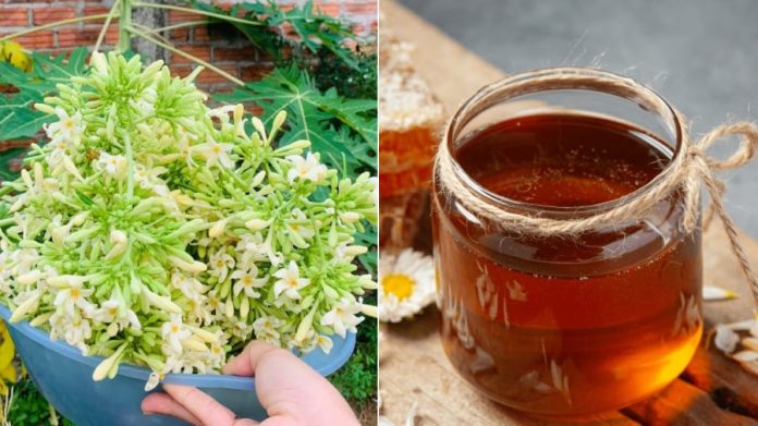 gia-tri-dinh-duong-cua-hoa-du-du-duc-va-mat-ong-phunutoday-1617