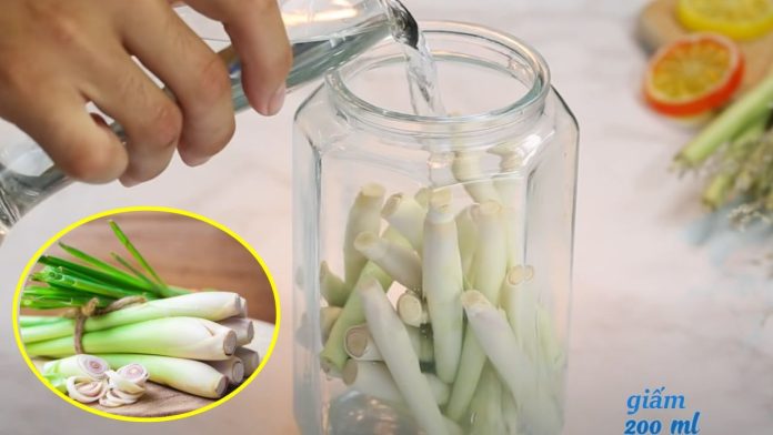 ngam-sa-voi-giam-thu-duoc-loai-nuoc-dac-biet-co-cong-dung-tuyet-voi-224028