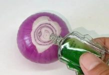 Nhỏ một giọt dầu gió vào hành tây, muỗi và côn trùng nhiều mấy cũng bay biến hết