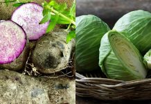 6 loại rau ‘thần dược tự nhiên’ giúp dạ dày khỏe lại từng ngày, ăn đều 1 tuần là thấy khác