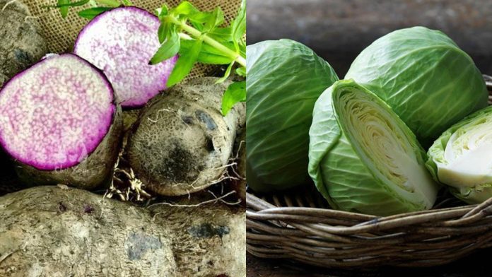 6-loai-rau-than-duoc-tu-nhien-giup-da-day-khoe-lai-tung-ngay-an-deu-1-tuan-la-thay-khac-100018