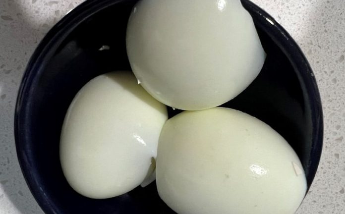 595637042_1260556756093324_2819981879316221272_n