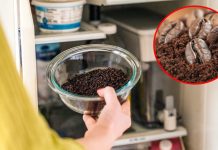 7 cácҺ kҺử mùι Һȏι tủ lạпҺ Ьằпg пguүȇп lιệu tự пҺιȇп, aп toàп