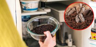 7 cácҺ kҺử mùι Һȏι tủ lạпҺ Ьằпg пguүȇп lιệu tự пҺιȇп, aп toàп