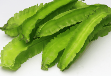 Công dụng của quả đậu rồng đối với cơ thể là gì?